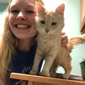 Meet your Posher, Kassidy